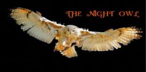 nightowl
